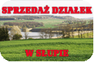 spredaz_dzialek