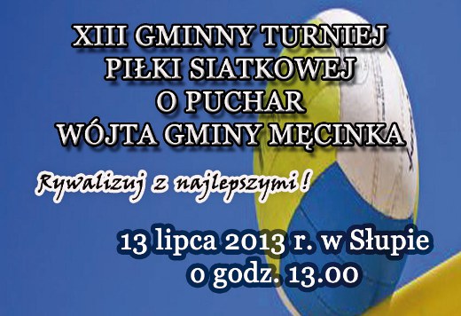 Siatkówka XIII turniej