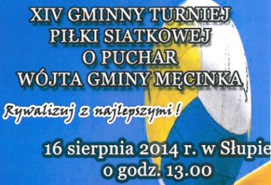 Turniej Piłki Siatkowej