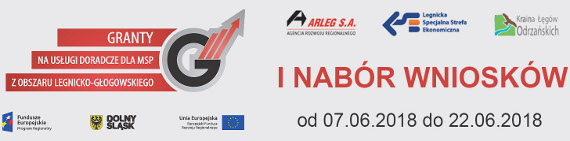 GRANTY NA USŁUGI DORADCZE DLA MSP Z OBSZARU LEGNICKO-GŁOGOWSKIEGO