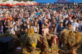 Festiwal Plonów