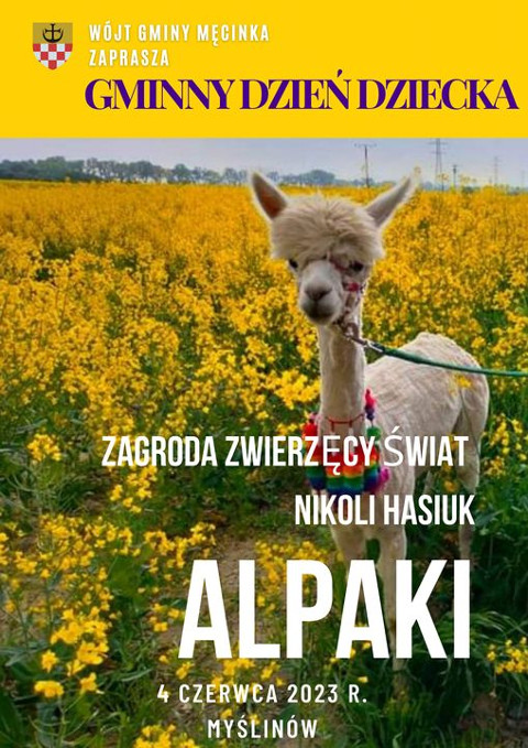 Dzień dziecka - alpaki