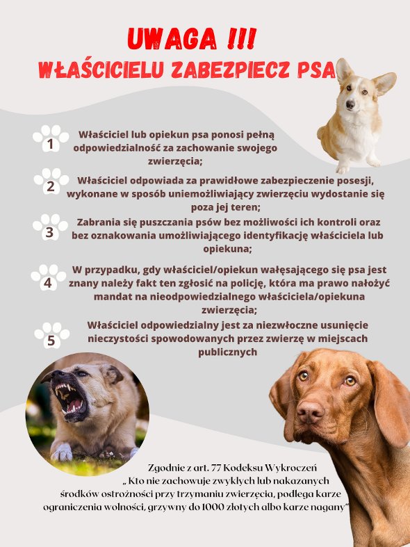 plakat zabezpiecz psa