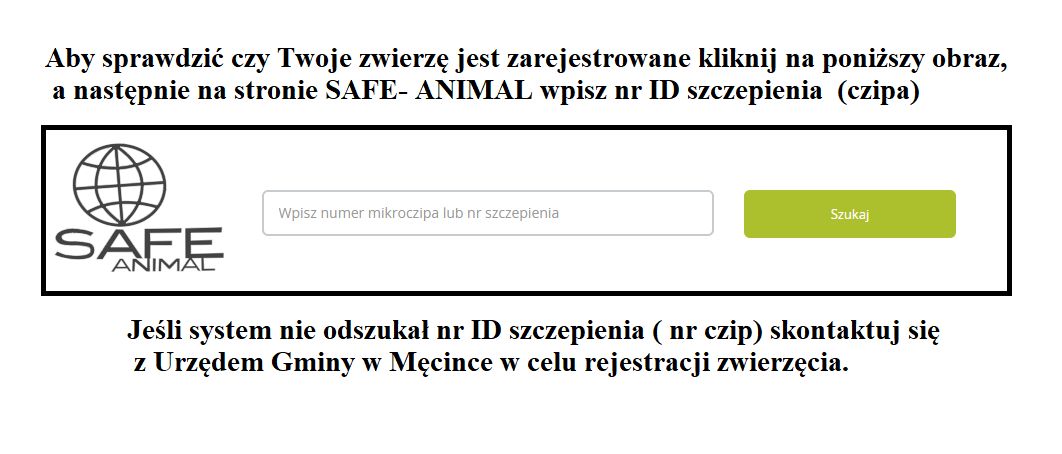 Safe Animal szukaj łącze