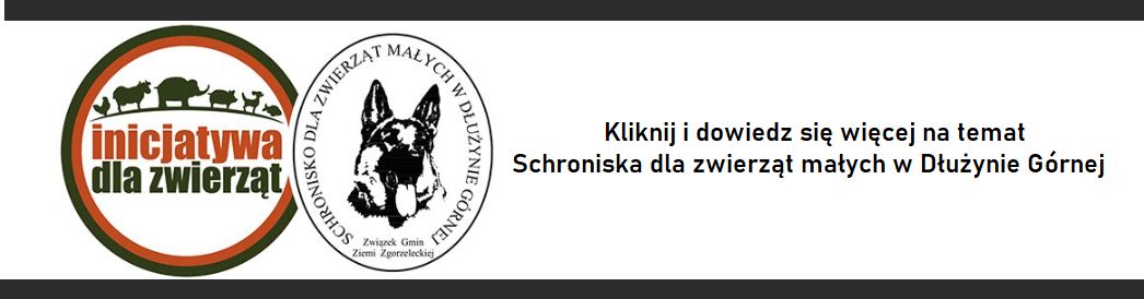 Więcej o schronisku 1