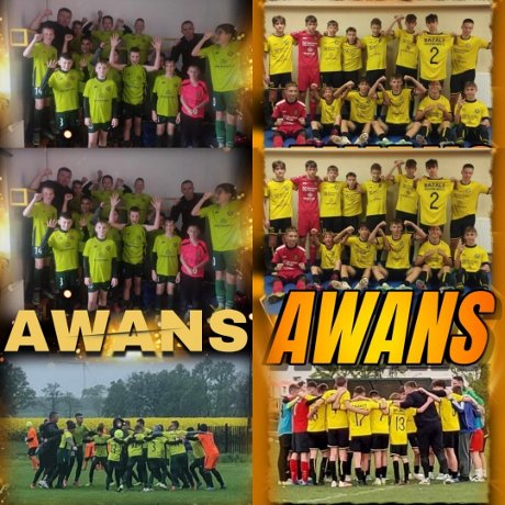 miniatura AWANS