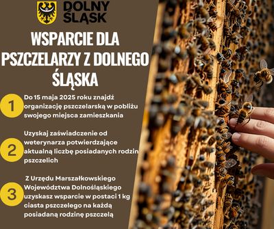 WSPARCIE DLA PSZCZELARZY Z DOLNEGO SLASKA MINI