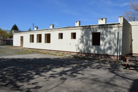 mniatura