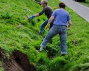 sprzatanie-stanislawow_04