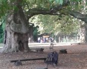 aktywni-sichowianie07