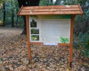 aktywni-sichowianie11