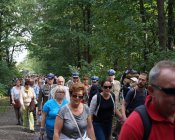 pielgrzymka-kalwaria-40