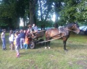 swieto_tulipanowca19