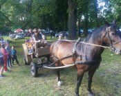 swieto_tulipanowca22