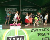 swieto_tulipanowca28