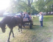 swieto_tulipanowca34