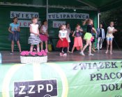 swieto_tulipanowca41