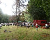 swieto_tulipanowca51