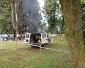 swieto_tulipanowca52