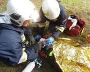 swieto_tulipanowca64