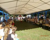 swieto_tulipanowca68