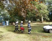 swieto_tulipanowca76