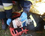 swieto_tulipanowca79