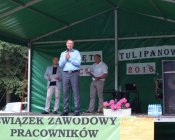 swieto_tulipanowca82