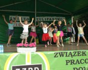 swieto_tulipanowca83