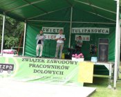 swieto_tulipanowca85