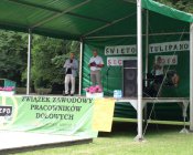 swieto_tulipanowca87