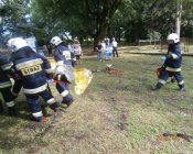 swieto_tulipanowca97