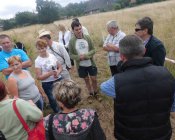 muchowski-kosiarz105