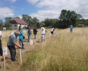 muchowski-kosiarz110