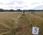 muchowski-kosiarz119