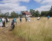 muchowski-kosiarz125