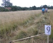 muchowski-kosiarz128