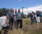 muchowski-kosiarz129