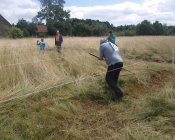 muchowski-kosiarz149