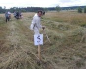 muchowski-kosiarz151