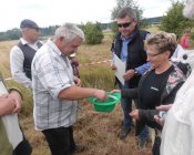 muchowski-kosiarz167