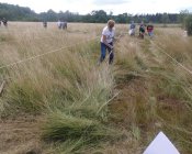 muchowski-kosiarz172