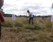 muchowski-kosiarz175