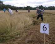 muchowski-kosiarz176