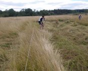 muchowski-kosiarz183