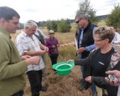 muchowski-kosiarz187