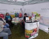 muchowski-kosiarz193