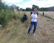 muchowski-kosiarz198