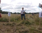 muchowski-kosiarz203