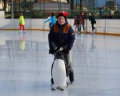 Ferie w szkołach Gminy Męcinka jako nowa oferta dla uczniów – SP Piotrowice